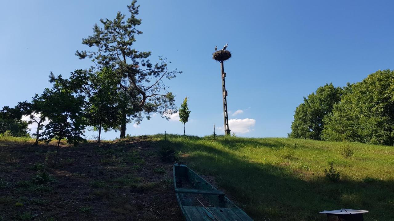 戈尼翁兹 Sloneczna Dolina Nad Biebrza旅馆 外观 照片