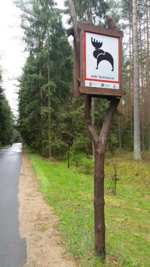 戈尼翁兹 Sloneczna Dolina Nad Biebrza旅馆 外观 照片